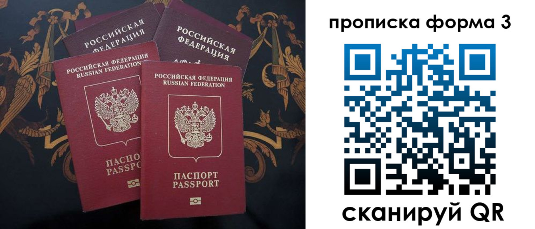 прописка законно в Кольчугино