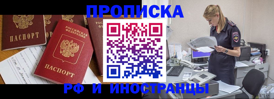 прописка в Кольчугино